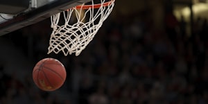 印尼国家体育委员会标志